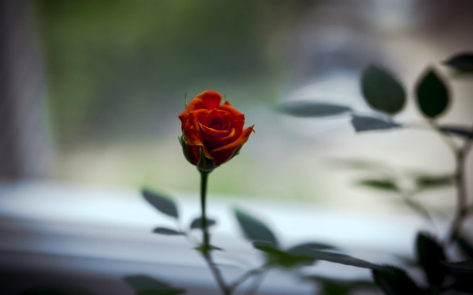 1755275 (a): :1920x1200